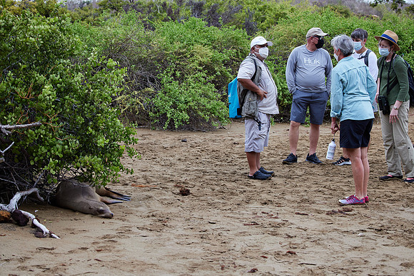 Galapagos Day 4 Floreana Walk 1029