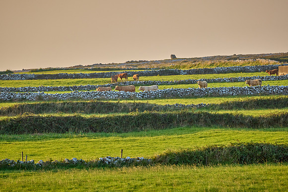 Aran Island to Doolin 1008