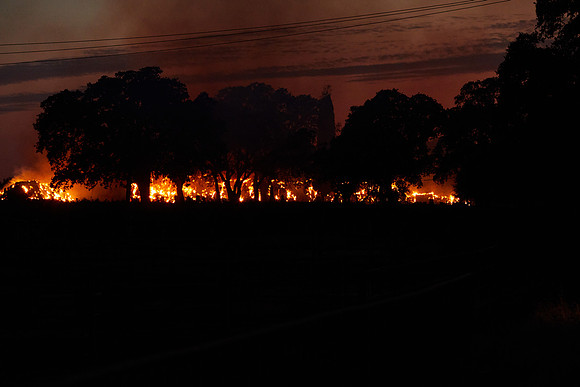 Fire on Liberty Road 029 PSBO