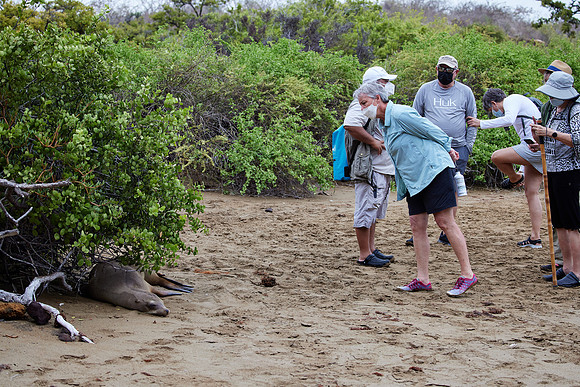 Galapagos Day 4 Floreana Walk 1031
