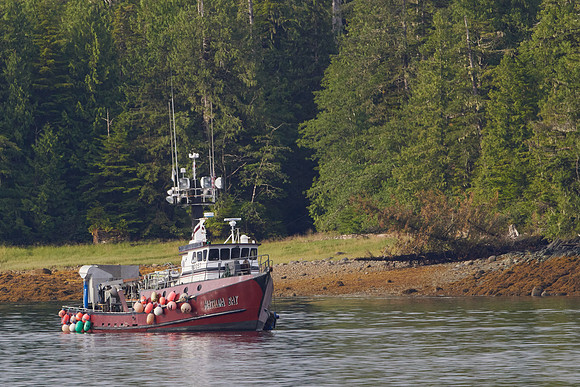 Metlakatla 1-012