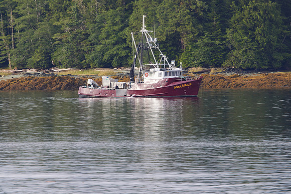 Metlakatla 1-013