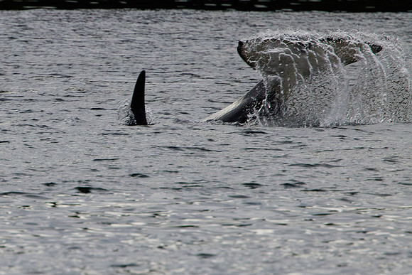 Metlakatla 1-054