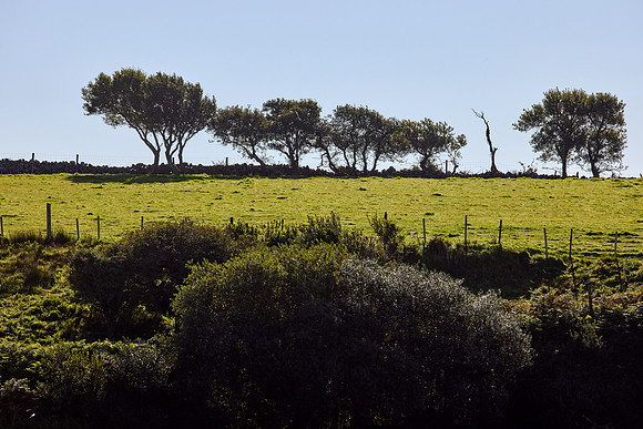 Clifden to Aran Island 513