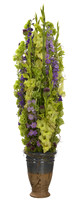 445_Lime _flower