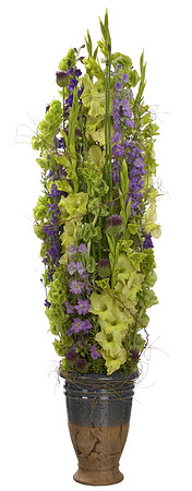 445_Lime _flower