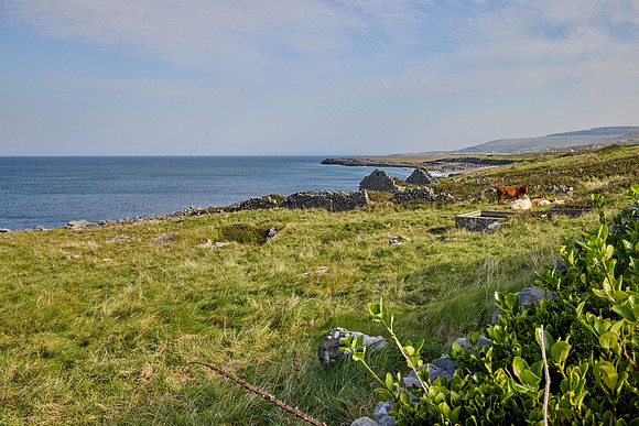 Doolin to Kinvarra 1059