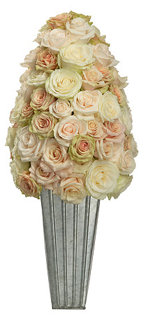 440_Neutral_Rose
