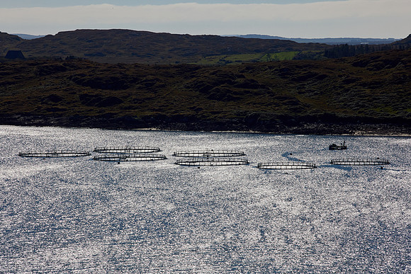Leenaun to Clifden 238