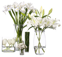 452_all_white