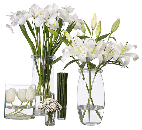 452_all_white