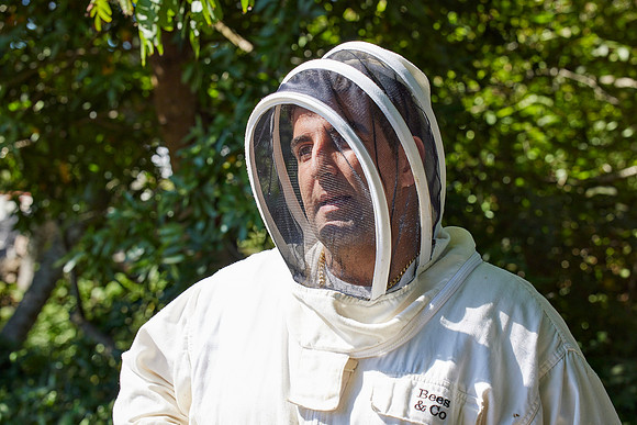 Bolinas Bees 0264