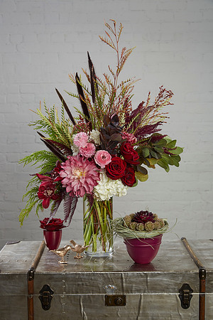 Maroon Arrangement 195 1