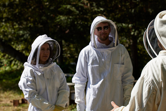 Bolinas Bees 0220