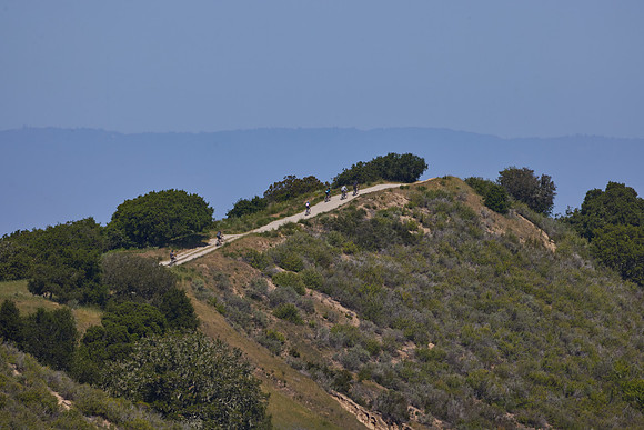 SeaOtter 2025 - 1617