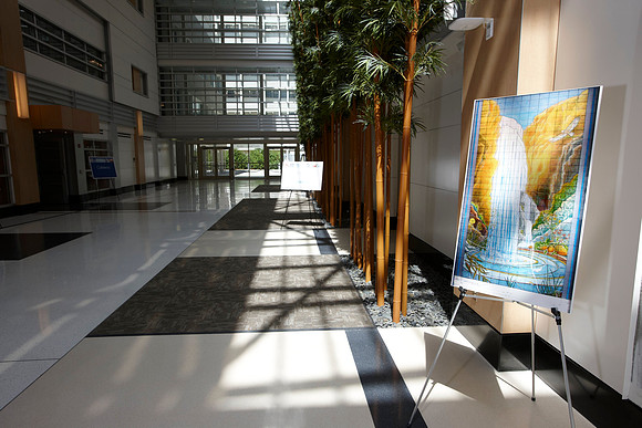 UCDHS Pavilion 130