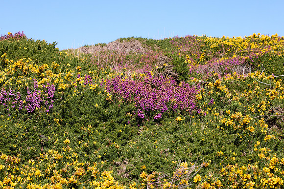 Leenaun to Clifden 276