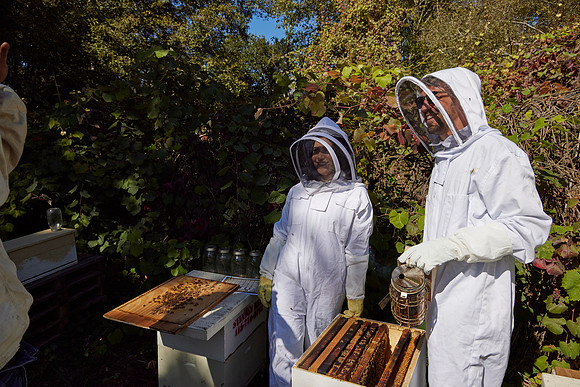 Bolinas Bees 0314