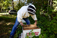 Bolinas Bees 0053