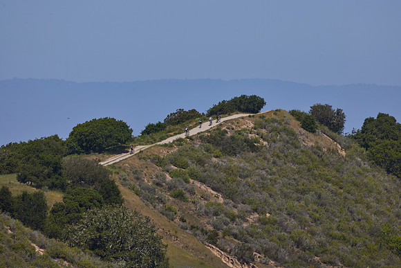 SeaOtter 2025 - 1600