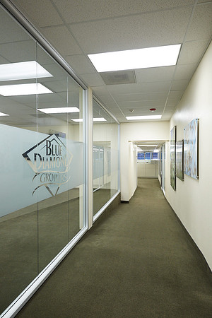 BDG Hallway 104