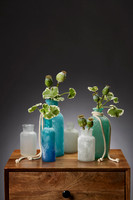Salt Blast Bottles 2-042