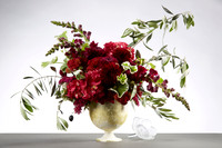 Gold Compote White-v2