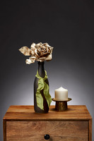 Champaign Rose 1