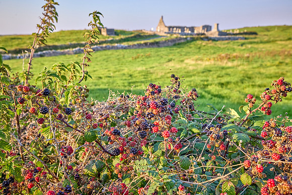 Aran Island to Doolin 700