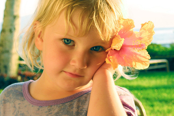 19_0_297_1shannon_flower_hawaii_s4w