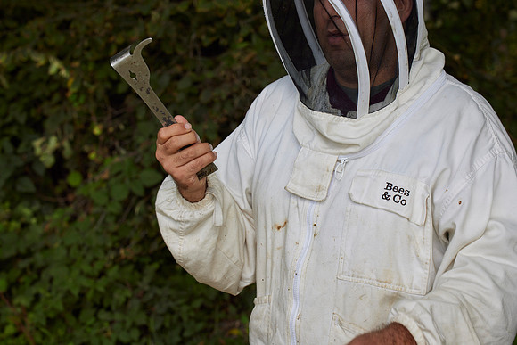 Bolinas Bees 0331