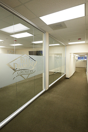 BDG Hallway 126