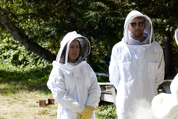 Bolinas Bees 0221