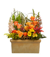 Fall_Orange_#20_008