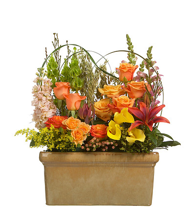 Fall_Orange_#20_008