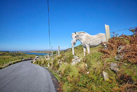 Leenaun to Clifden 458