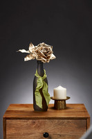 Champaign Rose 2