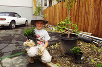 20_0_299_1loren_helps_dad_404_s4web